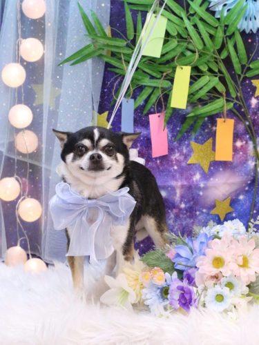 20250702チー太くん